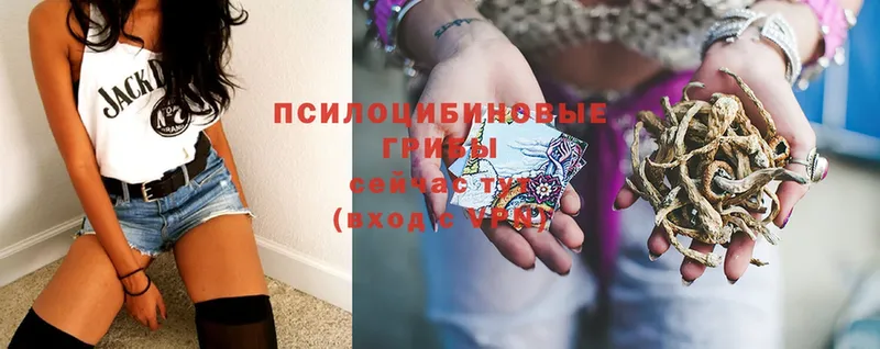 OMG зеркало  Новая Ляля  Псилоцибиновые грибы Psilocybe 